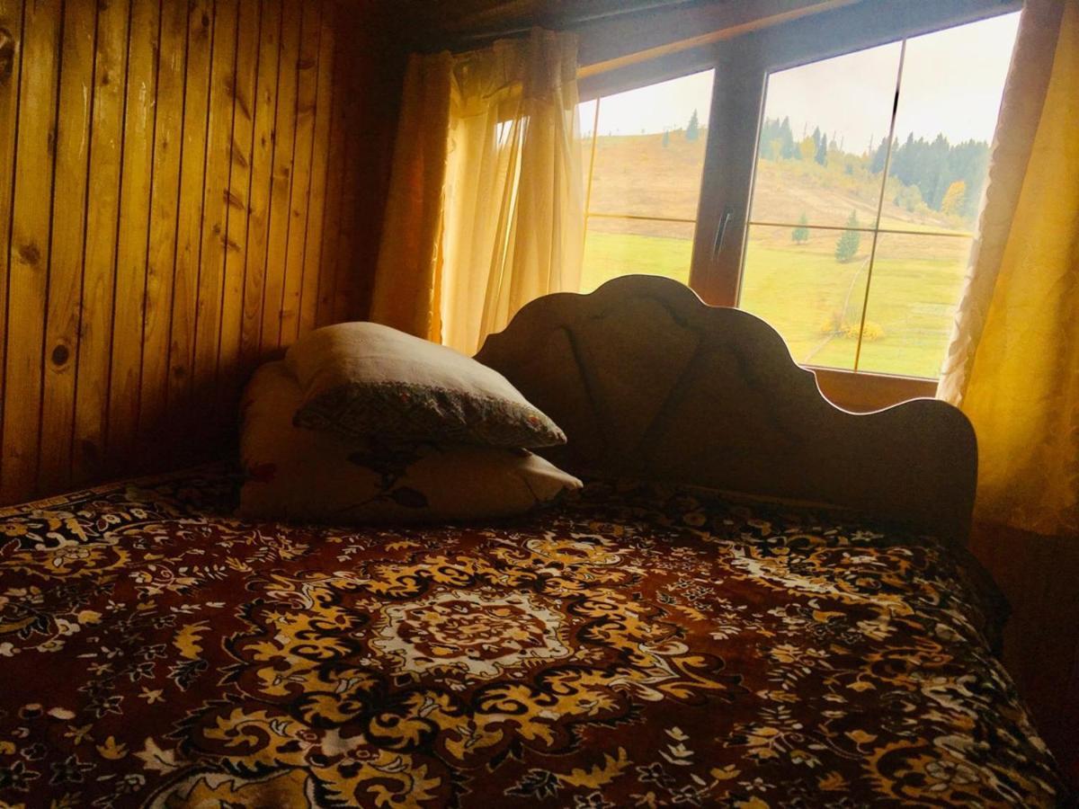 U Daryny Hotel Yablunytsya Bagian luar foto